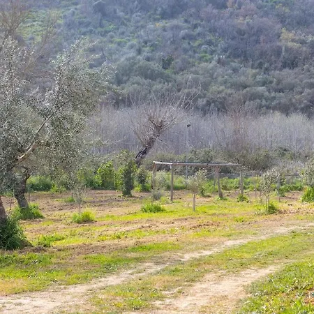Ktima Katerina Villa *